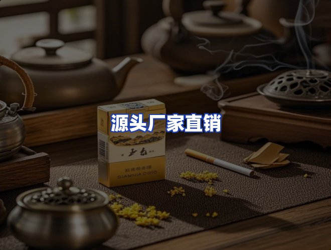 专业团队